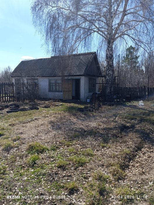 Продам дачу, садоводство яблонька