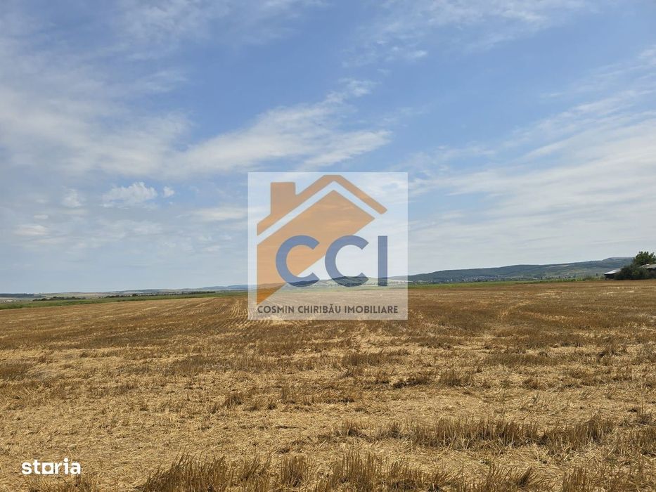 Teren intravilan– 50.000 mp, Bacău, Șoseaua Hol