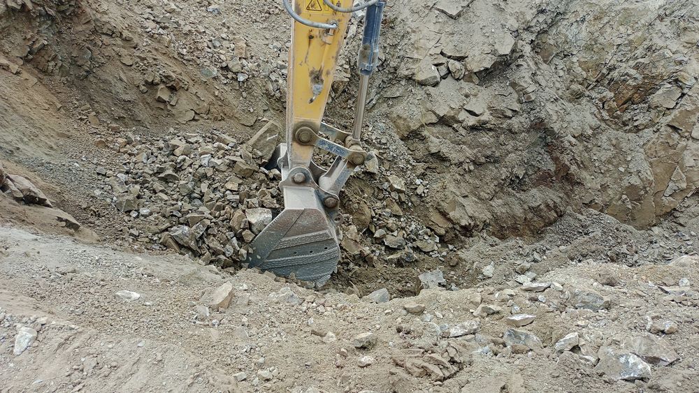 Скальник мелкий и крупный