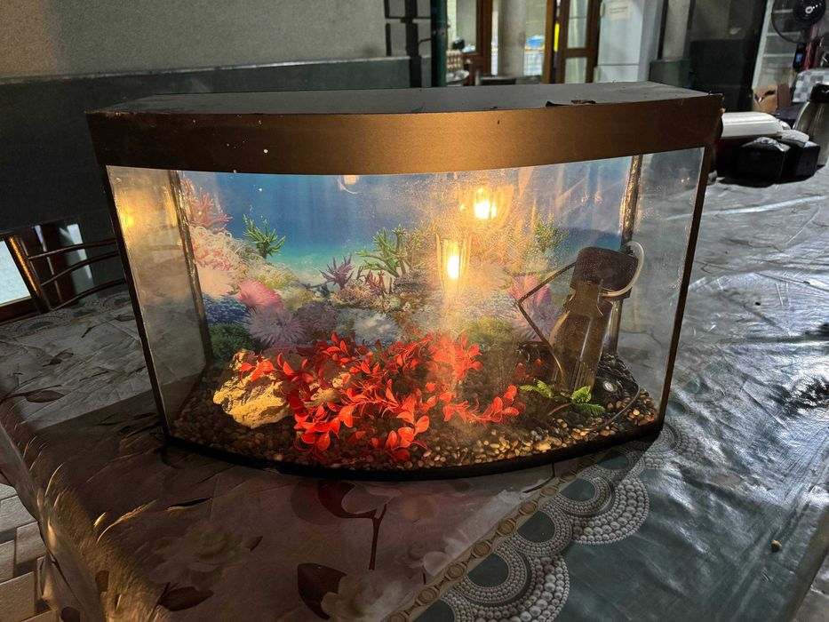 Akvarium, baliqlar uchun