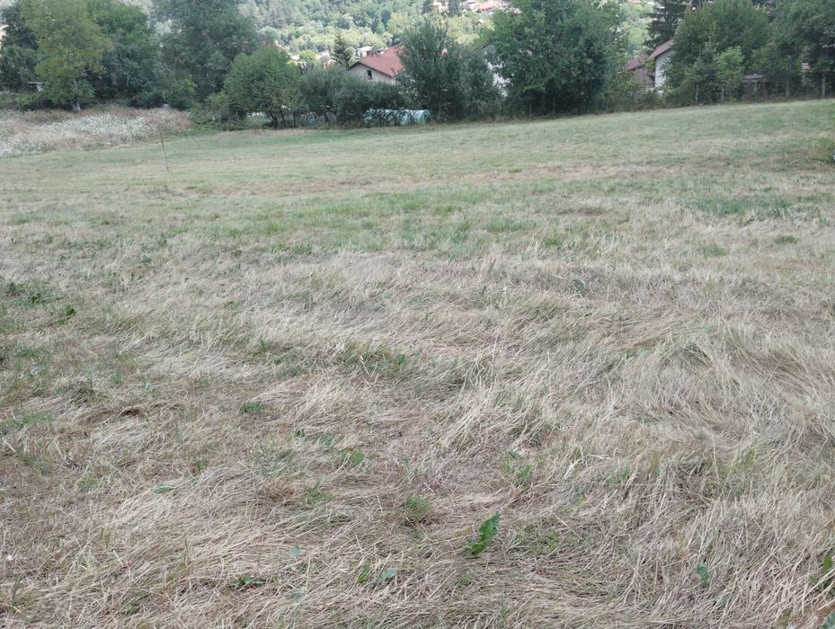 Продава се Парцел в с. Свидня, Област София-област - 800 кв.м за 38 €/кв.м - Снимка #4