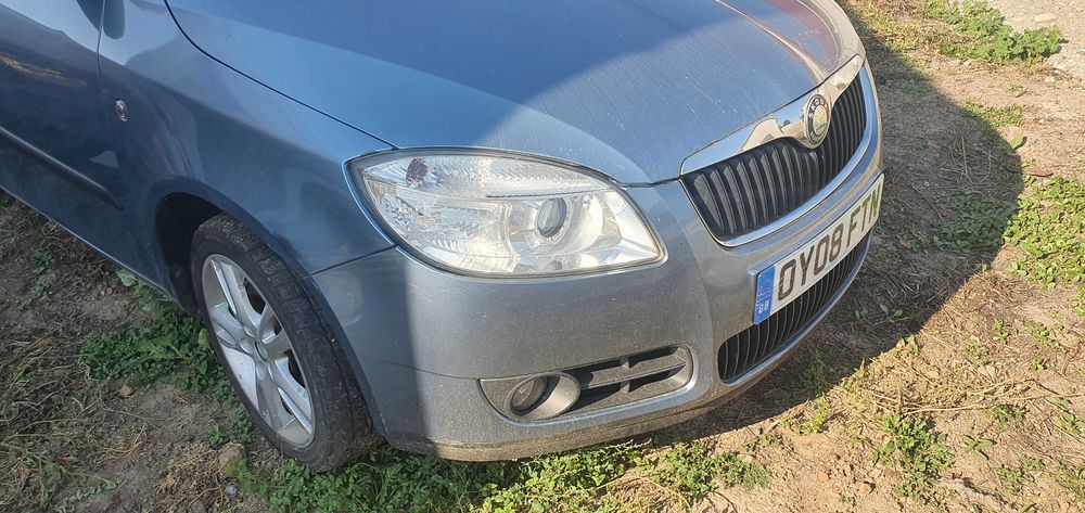 Usi  usa skoda fabia 2 COD CULOARE 9154