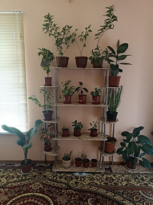 Стеллаж гуллар учун