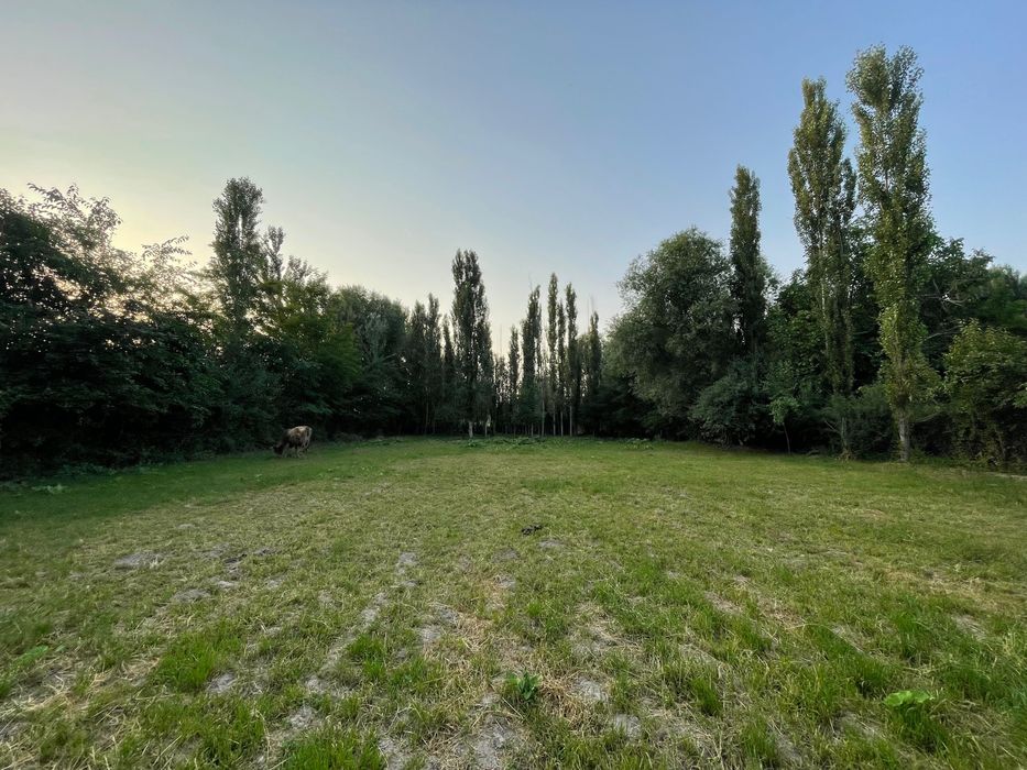 Srochno quruq yer sotiladi