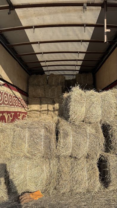 Продам сена, шоп