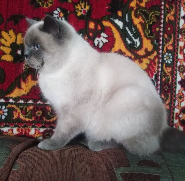 Вязка,Зот олиш,сотилмайди.