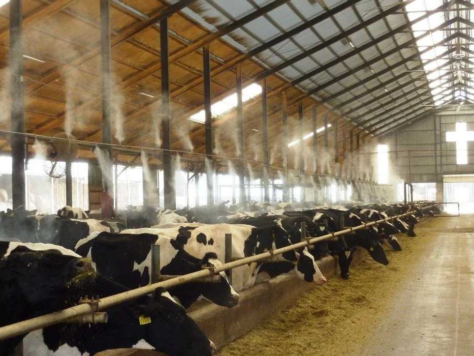 микроклимат установка хизмати  оптом fog machine (качество-гарантия).