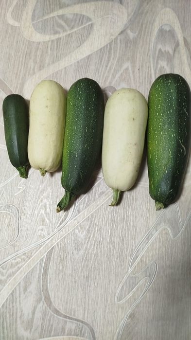 Продам кабачки дачные
