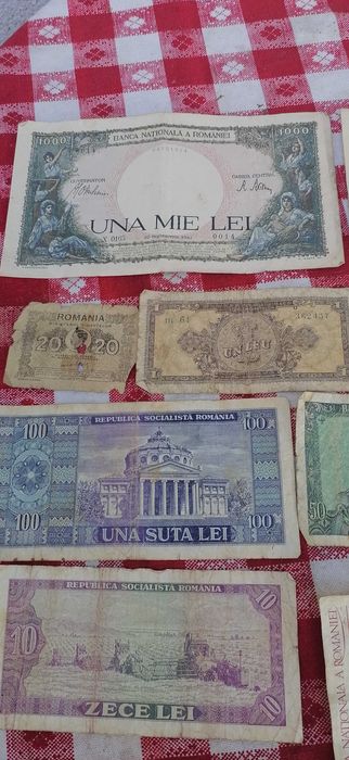 bani  monede  si  bancnote