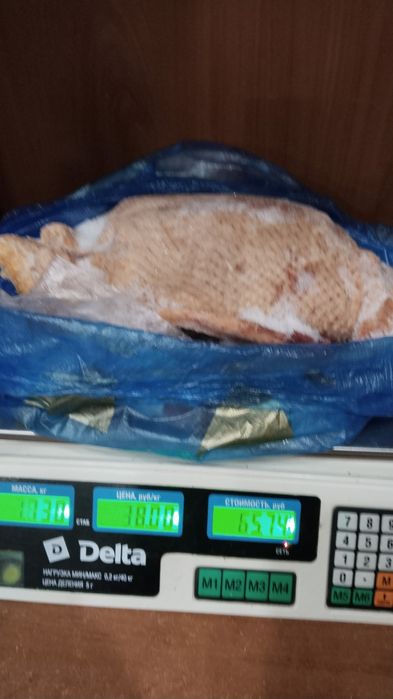 Продам мясо индоуток петушков