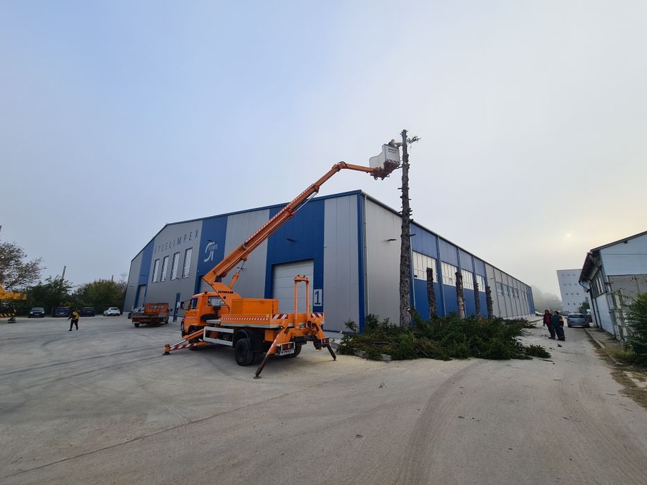 Рязане кастрене на опасни дървета