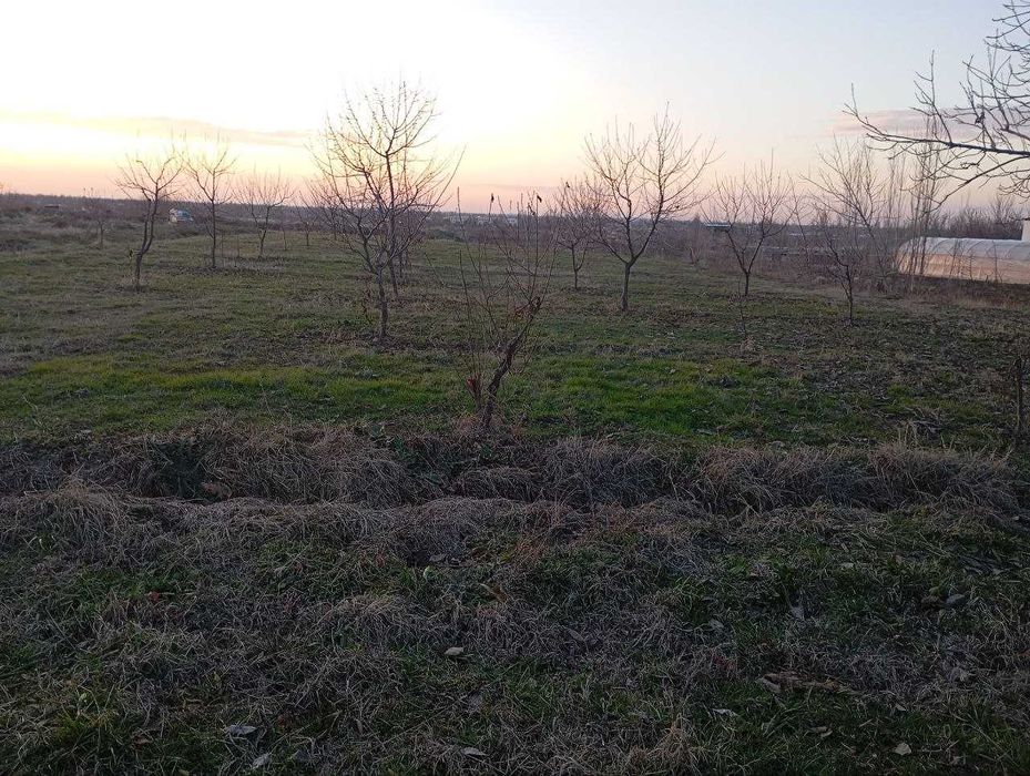 10 сотихли Ховли сотилади