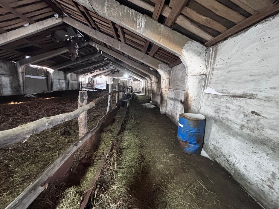 Шаруа қожалығы сатылады