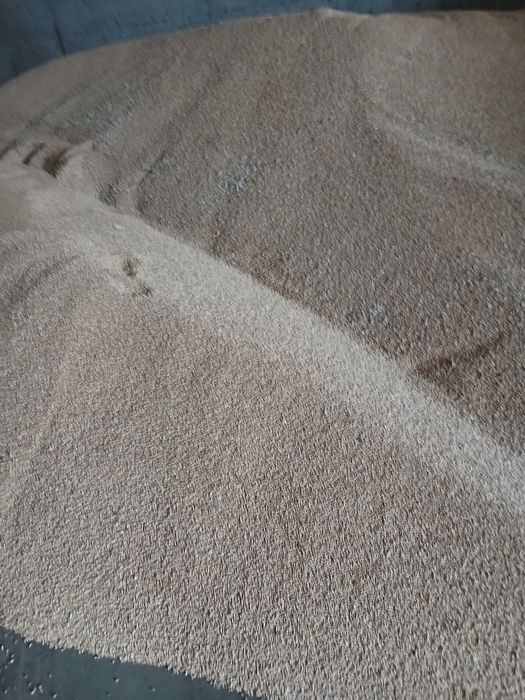 Porumb boabe si grâu