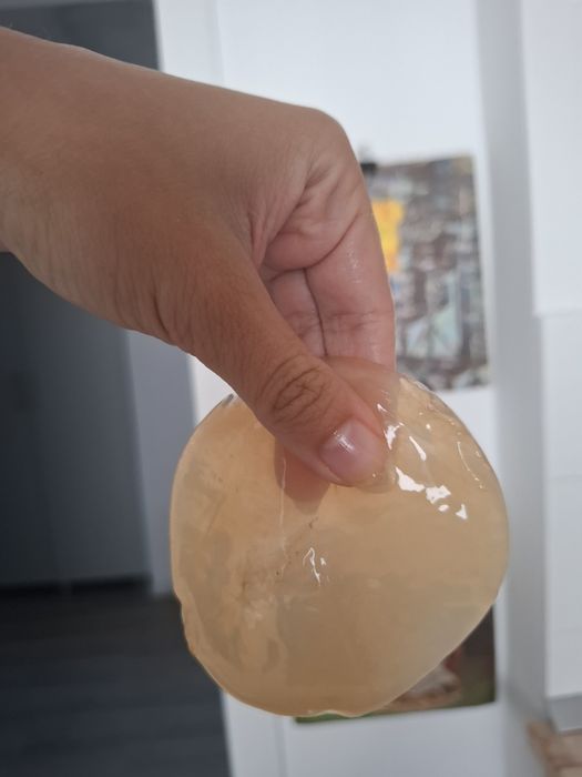 Ciupercă (SCOBY) Kombucha + ceai starter