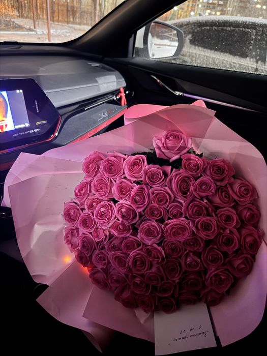 продам красивые цветы 61 шт