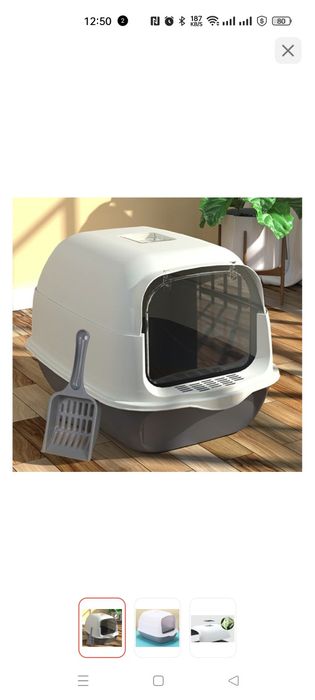 Срочно отдам котенка девочка