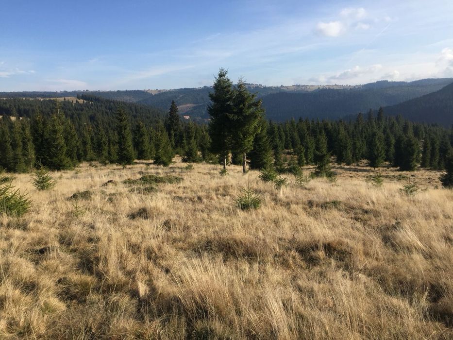 Vand Teren Belis aproape de lac