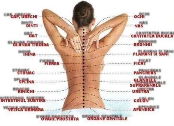 Masaj personalizat, pt slăbit, terapeutic, de relaxare și combinat+ re