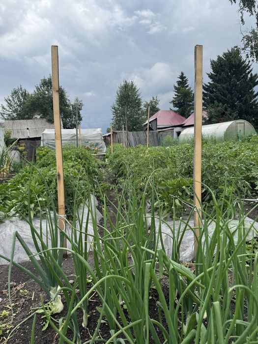 Продается кирпичный дом