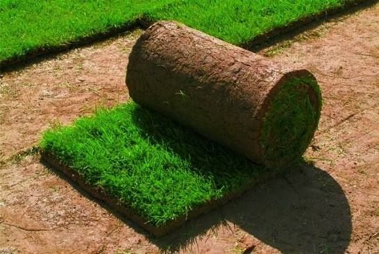 Газоны рулонные Дания⁹ ландшафтный дизайн