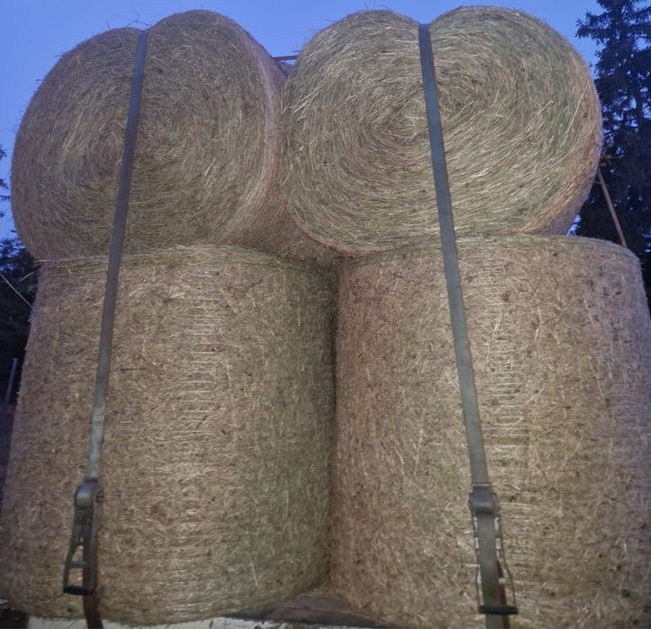 Baloții de fân si otavă ROTUNZI SAU PĂTRAT