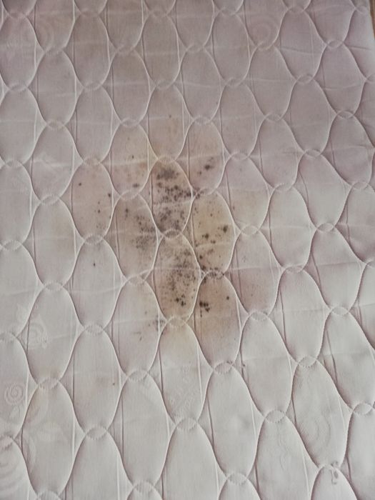 Пране на мека мебел, дивани,матраци, килими, тапицерия, автомобили