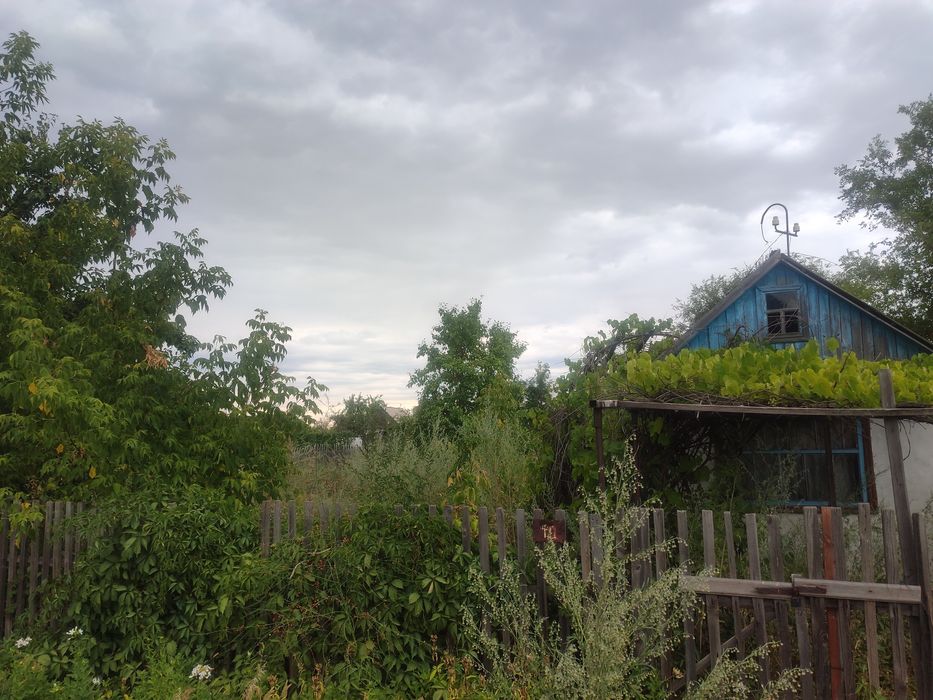 ЯБЛОНЬКА Есть торг продам дачу