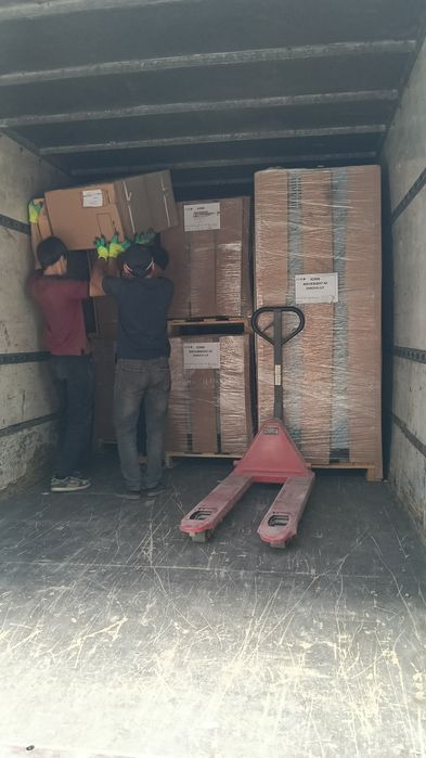 5 тоник и 10 тоник