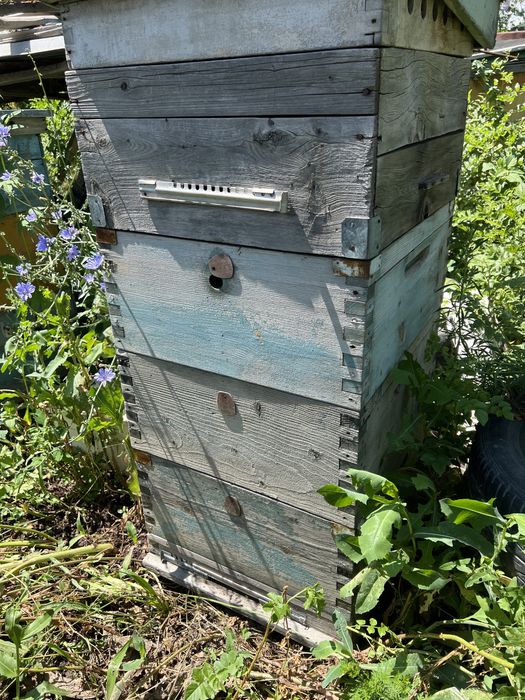 Продам ульи разные