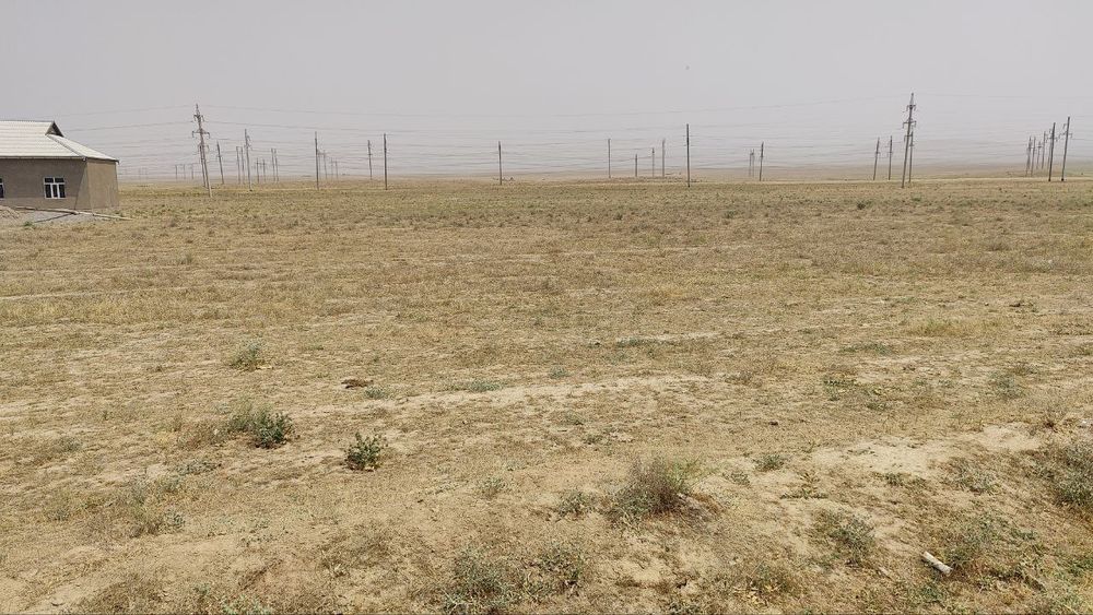 Yangioboddan 48 so'tix bo'sh yer maydoni sotiladi