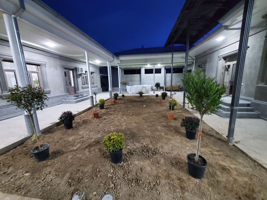 Gazon ekamiz ( kafolat va sifat bilan