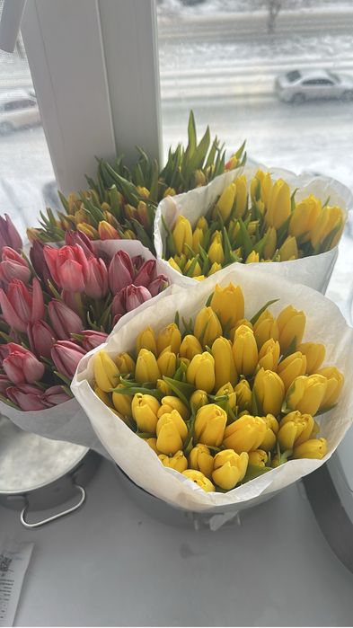 Тюльпаны свежие