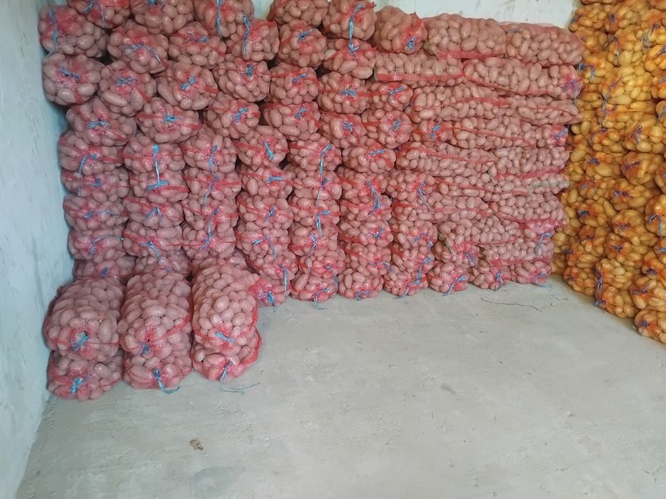 Cartofi consum rosu si alb