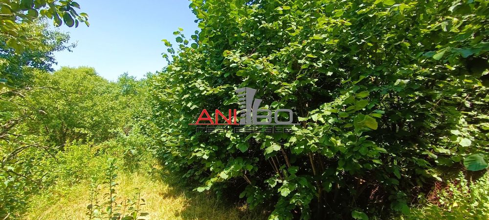 Парцел в София, област-с.Туден площ 3150 цена 77000