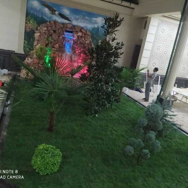 GAZON ekamiz tayyor gazon va sepish