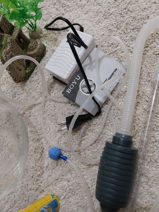 Acvariu set complet peste