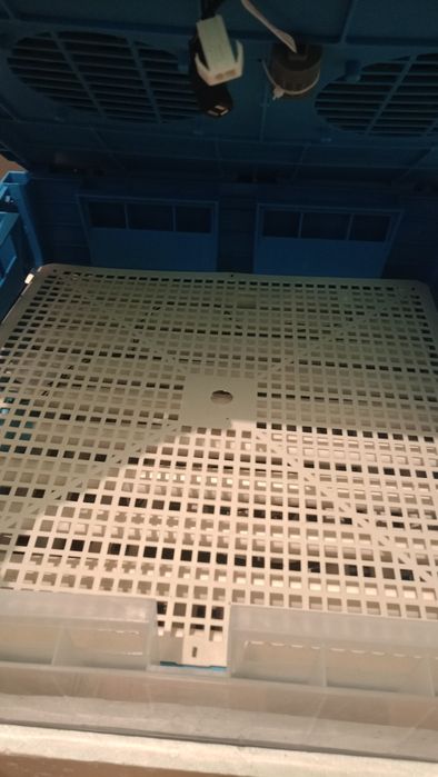 Инкубатор сатылады