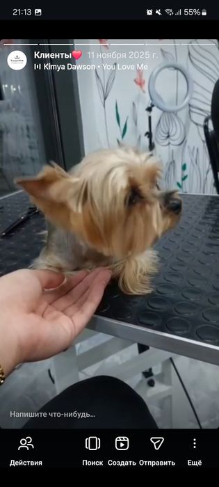 Груминг за 5000 тенге