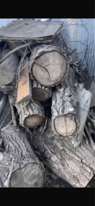 Дрова отдам даром !!!