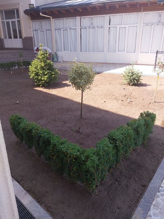 Gazon ekish lanshaftni dizayin asosida ekish respublika boʻylaf