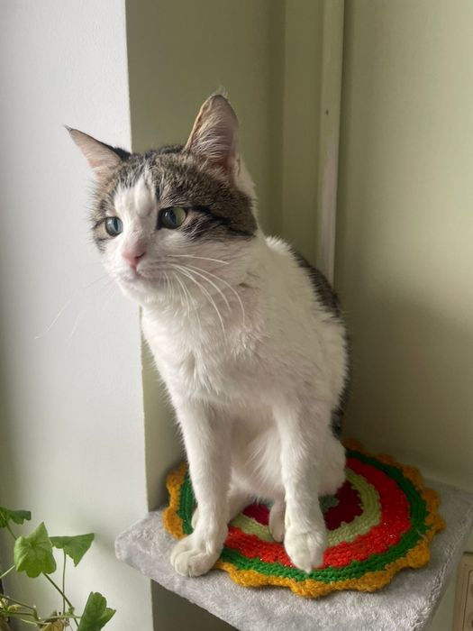 Мальчик 7 месяцев