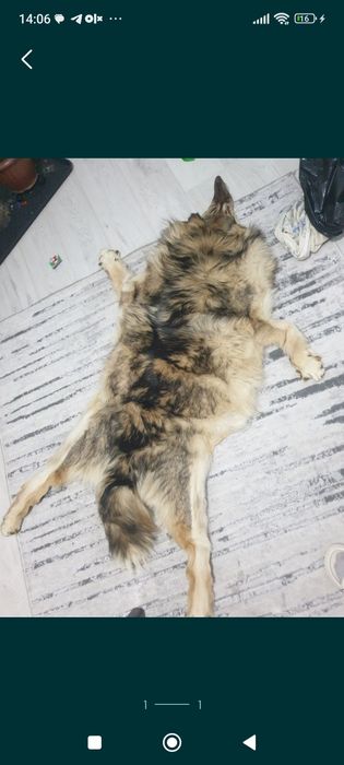 Ковер на стену натуральный