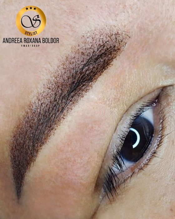 500 ron Noiembrie-Decembrie Promotie Micropigmentare Sprancene si Buze