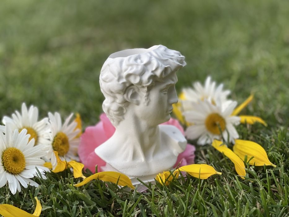 Ghivece plante suculente cactusi marturii decorațiuni handmade ipsos