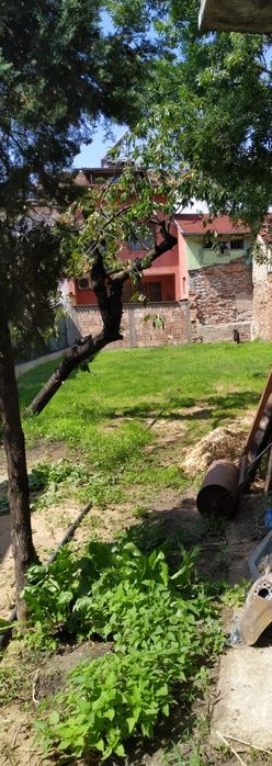 Хотел за кучета игри на воля гр. София