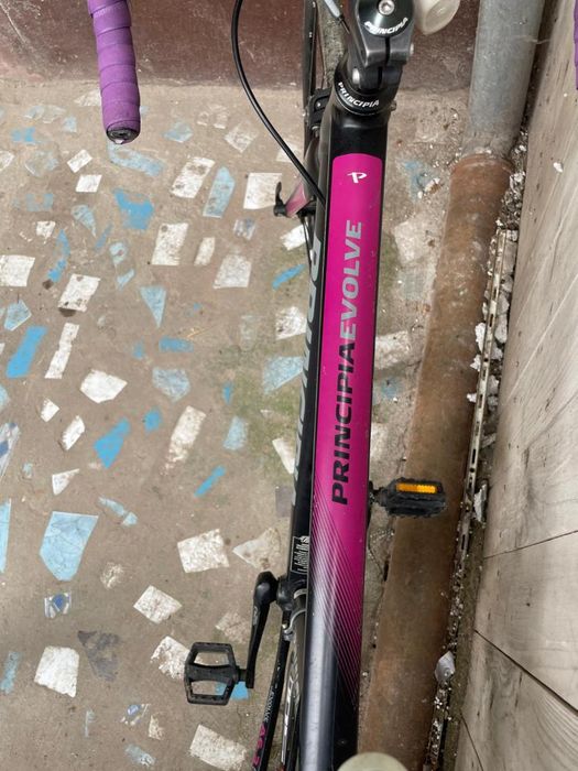 Cursiera Principia Evolve Factura+Garantie -A-