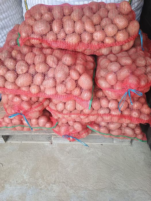 Cartofi pentru consum