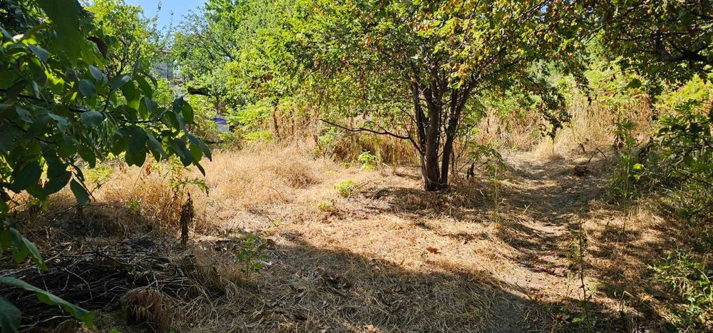 Продава се Парцел в София, Борово - 600 кв.м за 70 €/кв.м - Снимка #3