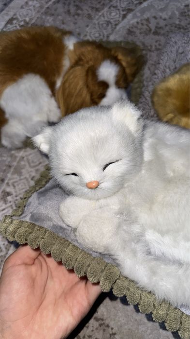 Игрушка в виде живых животных